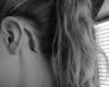 plume