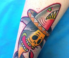 Shark skull