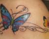 mariposas