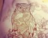 Owl drawing