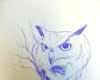 barn owl skull sketches