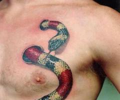Serpiente que entra y sale del cuerpo