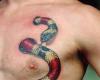 Serpiente que entra y sale del cuerpo