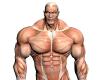 human muscles art tattoo meanings