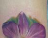 Tattoo for lily flower
