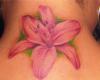 Lily flower tattoo art for free