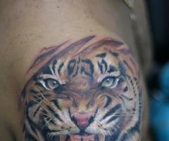 Rostro de tigre feroz