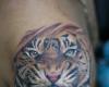 Rostro de tigre feroz