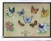 Free butterfly poster vintage