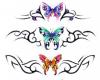 Tribal butterfly art flash