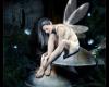 Dark fairies and angels