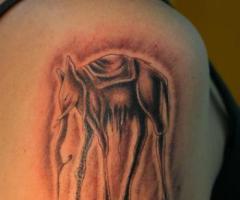 Best Elephant tattoos
