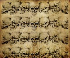 Skull wallpaper
