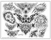 Tribal tattoo flash drawings