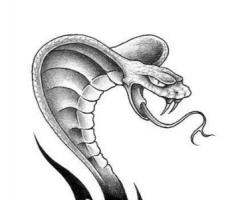 Tribal snake sketch art