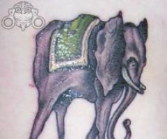 Best Elephant tattoos