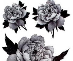 Dibujos de rosas para tatuajes