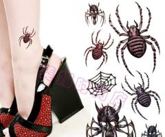 Spider sketch drawings