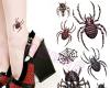Spider sketch drawings