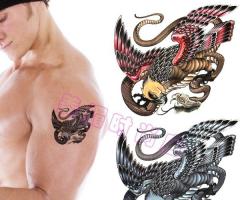 Eagle and dragon sketch