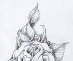 Dibujo de rosa