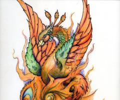 Phoenix Drawing and Sketch tattoo