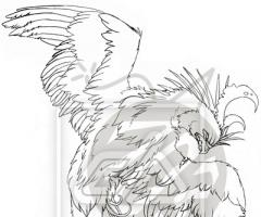 Phoenix Drawing and Sketch tattoo