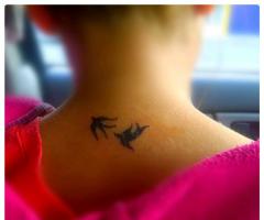 Tatuajes de gaviotas