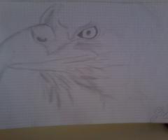 eagle pictures