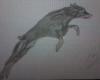 Dobermann art