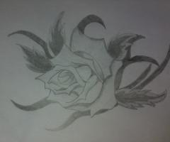 rose tattoo sketches