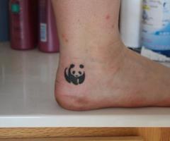 panda!