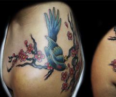 bird on shoulder