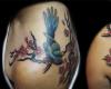 bird on shoulder