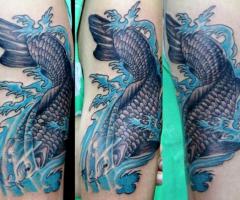 koy fish
