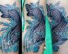 koy fish