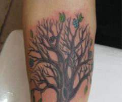 Arbol de la vida