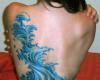 lotus flower