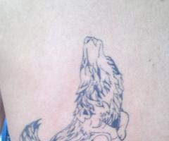 Lobos Rapaces