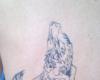 Lobos Rapaces