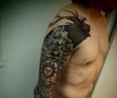 Sleeve con sol y animales