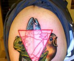 Pez, sapo y ave con triangulo
