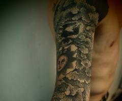 Sleeve cuervo y sol con puntillismo