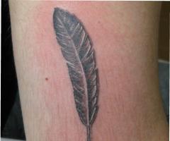 Nombre Matheo y Pluma