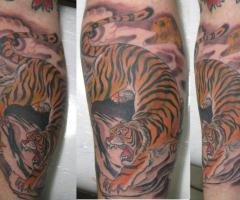 Tigre Oriental