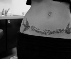 Sexy swallow lower belly tattoos