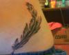 Feather lower belly design