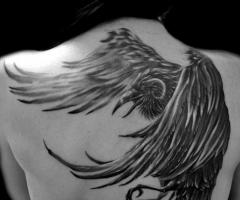 Awesome bird