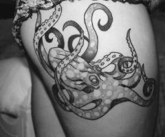 Pulpo blanco y negro