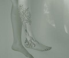A silhouette of a tree, the roots of which are spread over the foot
